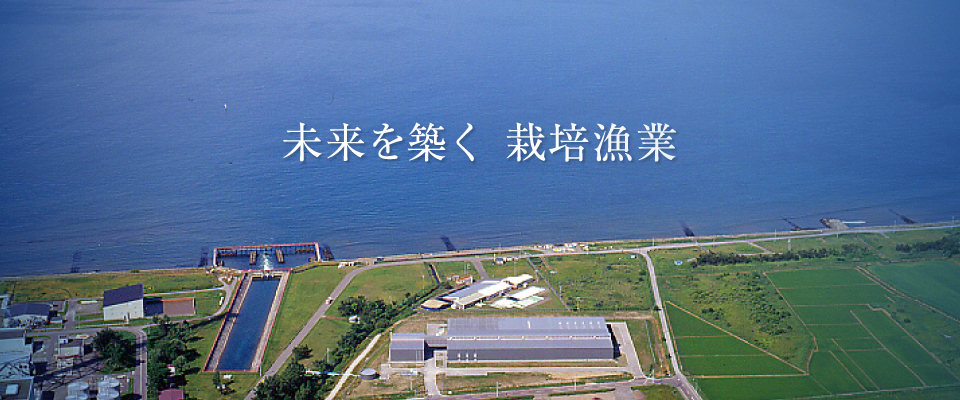 未来につづく 豊かな海をまざして